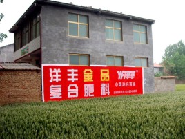 会泽如何让墙体广告展现最大化效果