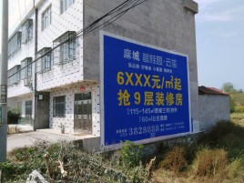 会泽墙体广告质量分析