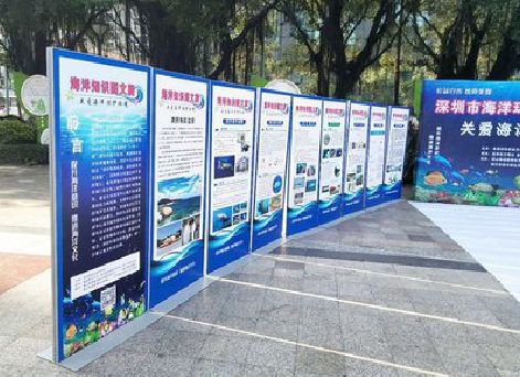 会泽KT板的种类和知识。